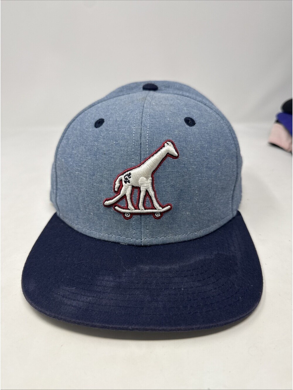 LRG True Heads Blue Giraffe Skateboarding Hat Cap OSFM